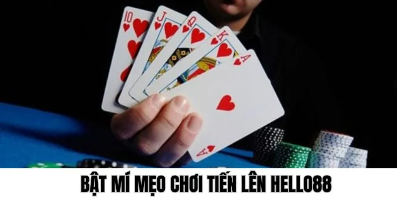 bat-mi-meo-choi-bai-tien-len-tai-hello88